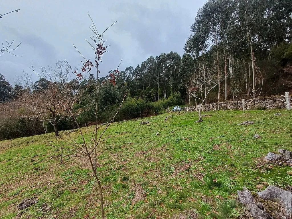 Building Plot for sale in A Caniza - € 19,800 (Ref: 9685441)