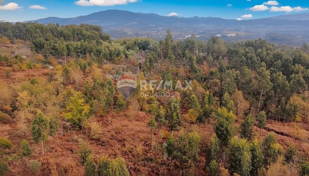 Building Plot for sale in Salvaterra de Mino - € 140,000 (Ref: 9685449)