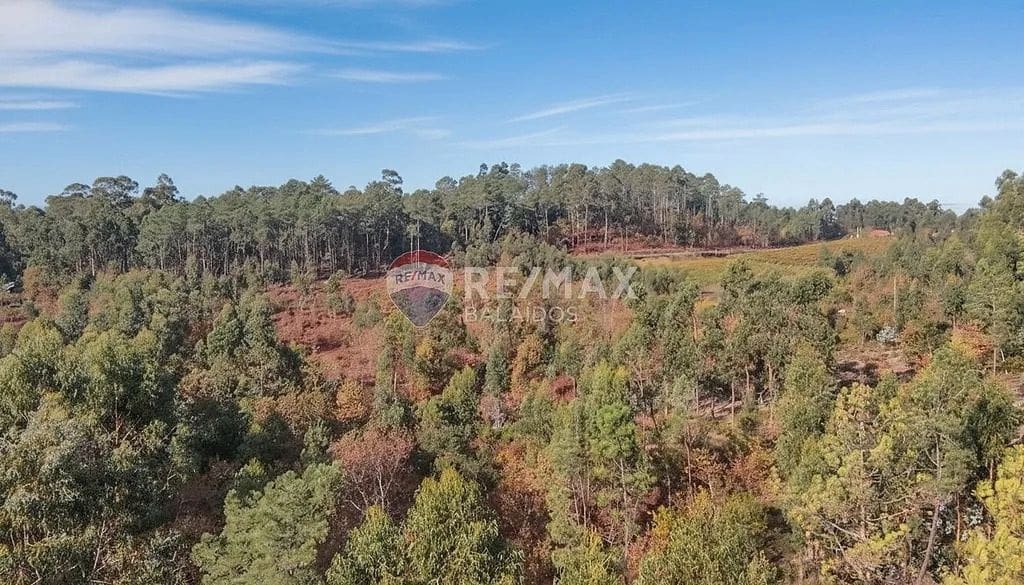 Building Plot for sale in Salvaterra de Mino - € 140,000 (Ref: 9685449)