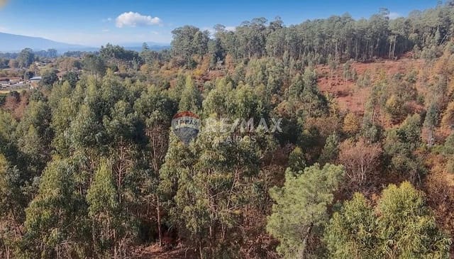 Building Plot for sale in Salvaterra de Miño - € 140,000 (Ref: 9685449)