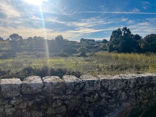 Ruin for sale in Tomiño - € 195,000 (Ref: 9685451)