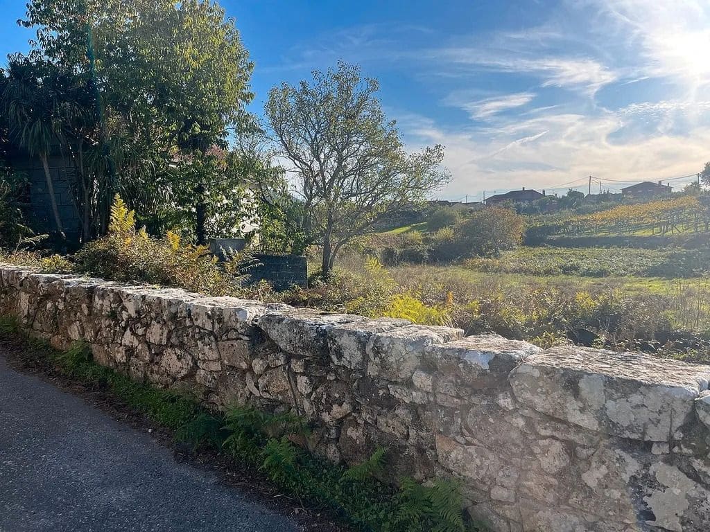 Ruin for sale in Tomino - € 195,000 (Ref: 9685451)