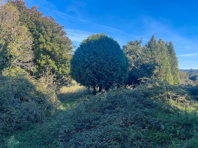 Ruin for sale in Tomiño - € 195,000 (Ref: 9685451)