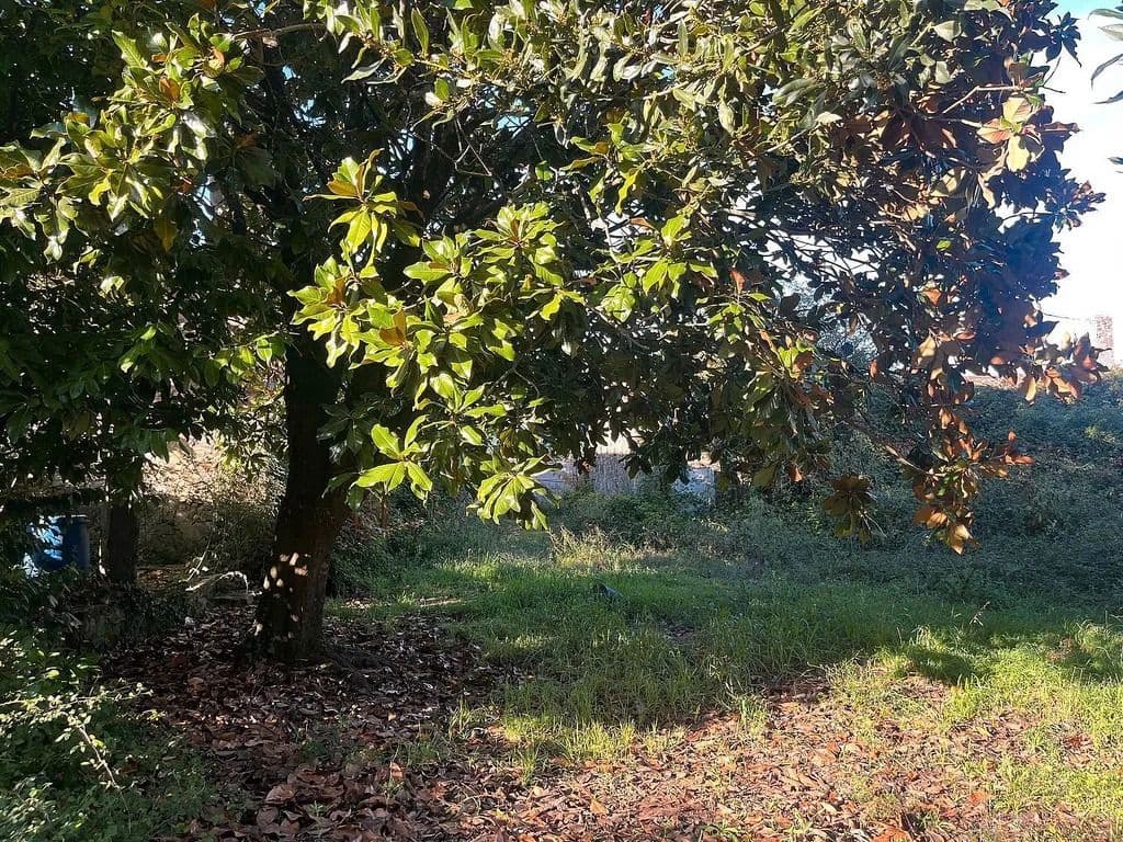 Ruin for sale in Tomino - € 195,000 (Ref: 9685451)