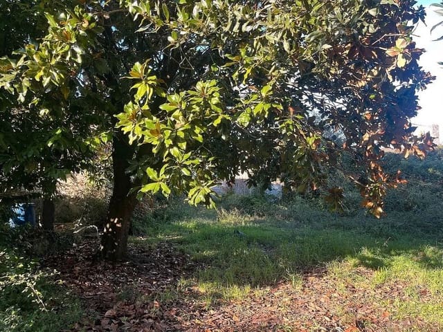 Ruin for sale in Tomiño - € 195,000 (Ref: 9685451)