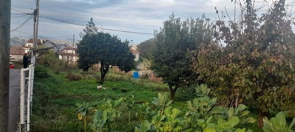 Area Edificabile in vendita in Vigo - 55.000 € (Rif: 9685495)