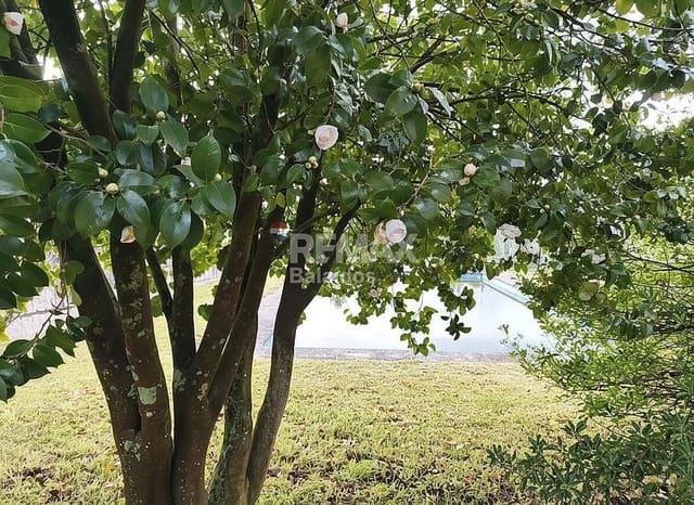 7 soverom Finca/Herregård til salgs i Tui med svømmebasseng garasje - € 580 000 (Ref: 9685498)