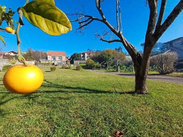 Area Edificabile in vendita in Vigo - 98.000 € (Rif: 9726933)