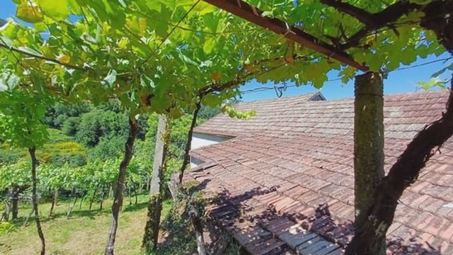 Finca/Casa Rural de 2 habitaciones en A Cañiza en venta con garaje - 79.000 € (Ref: 9745907)