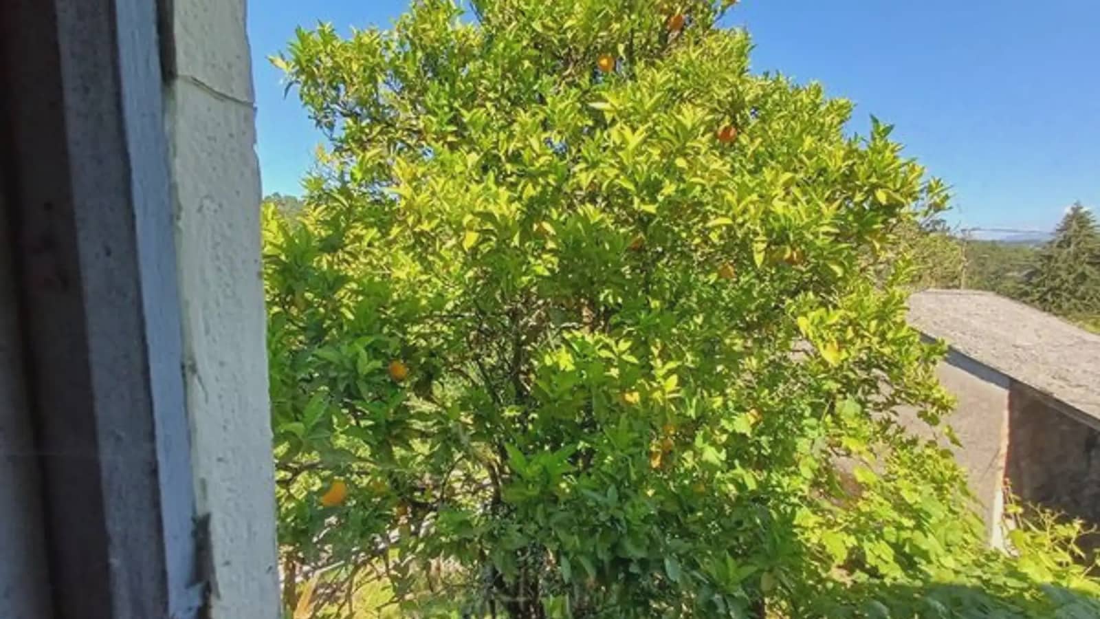 Finca/Casa Rural de 2 habitaciones en A Cañiza en venta con garaje - 79.000 € (Ref: 9745907)