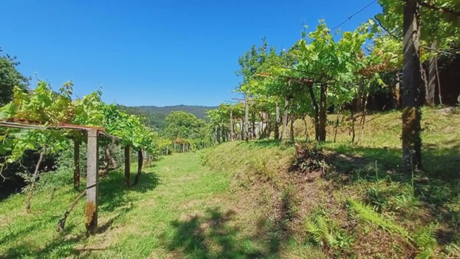Finca/Casa Rural de 2 habitaciones en A Cañiza en venta con garaje - 79.000 € (Ref: 9745907)