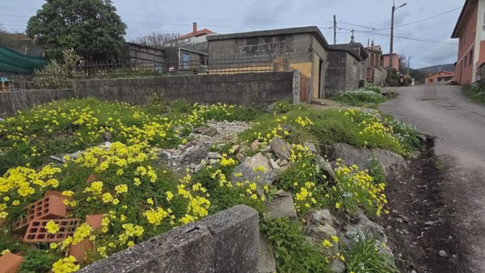 4 soveværelse Villa til salg i Oia - € 340.000 (Ref: 9747279)