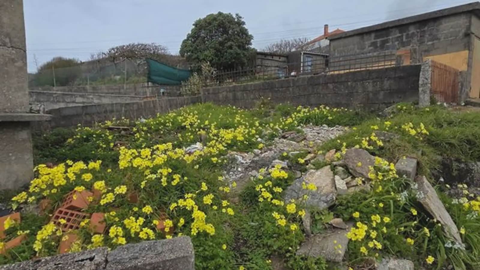 4 soveværelse Villa til salg i Oia - € 340.000 (Ref: 9747279)