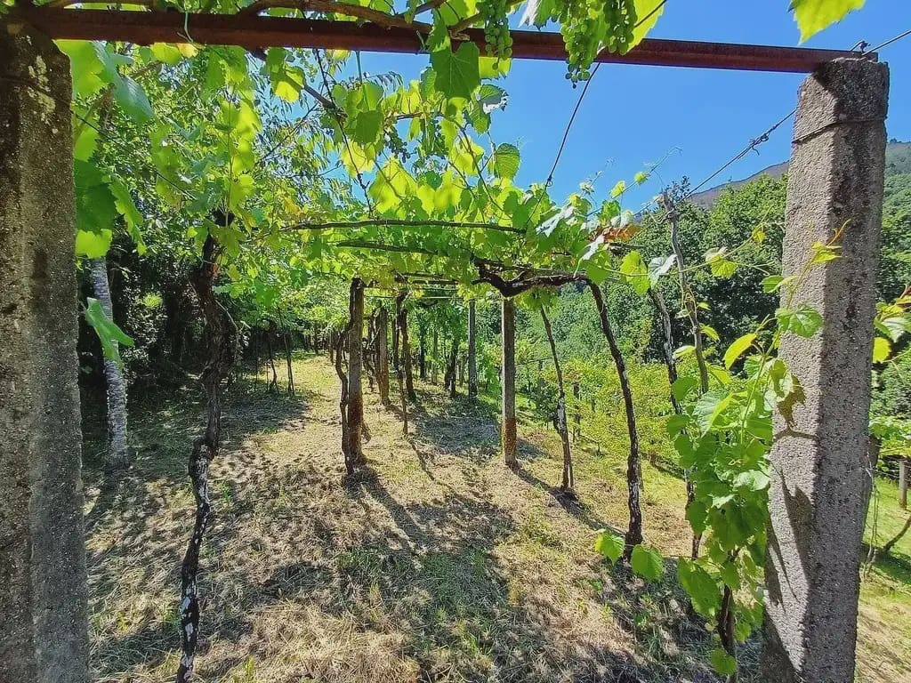 2 chambre Finca/Maison de Campagne à vendre à A Caniza - 79 000 € (Ref: 9762299)