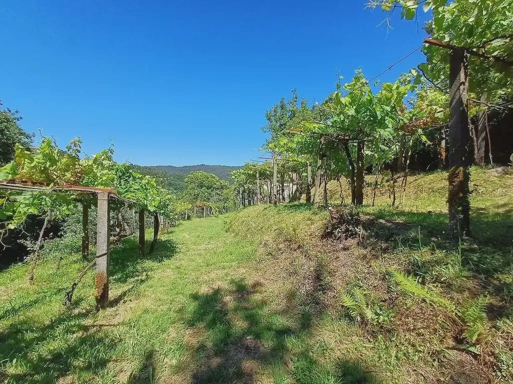 2 chambre Finca/Maison de Campagne à vendre à A Caniza - 79 000 € (Ref: 9762299)