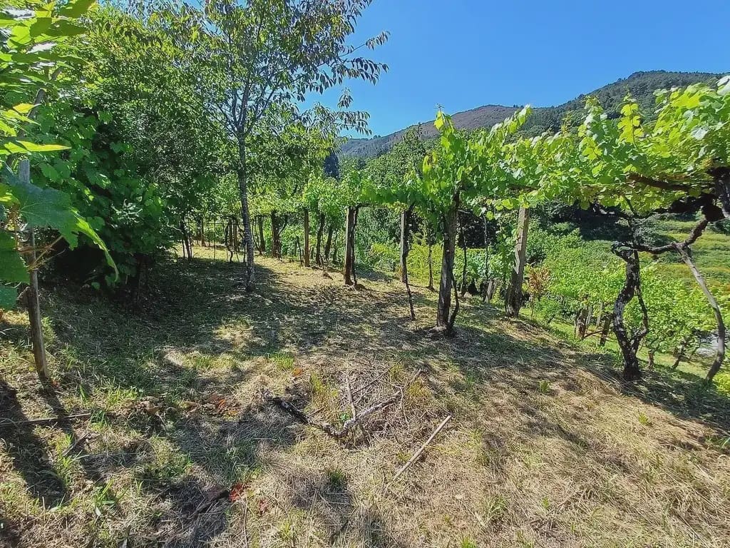 2 chambre Finca/Maison de Campagne à vendre à A Caniza - 79 000 € (Ref: 9762299)