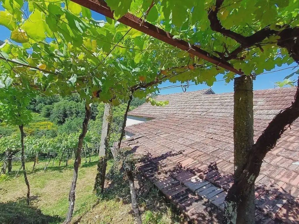 2 chambre Finca/Maison de Campagne à vendre à A Caniza - 79 000 € (Ref: 9762299)