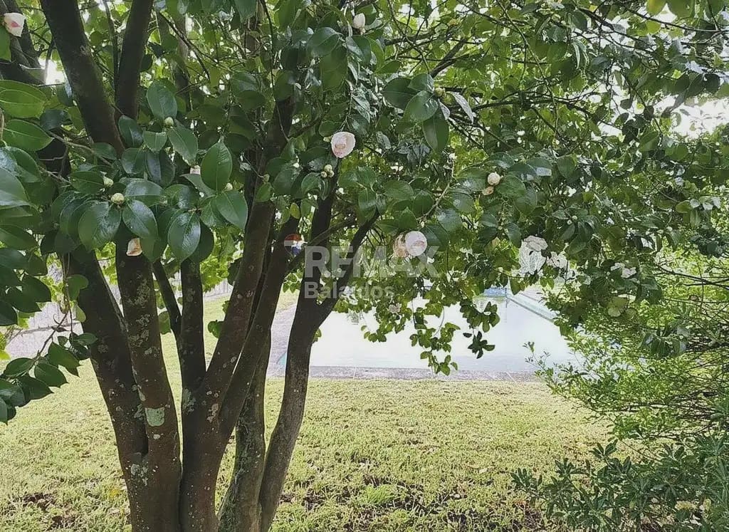 7 sovrum Finca/Hus på landet till salu i Tui med pool garage - 580 000 € (Ref: 9763268)