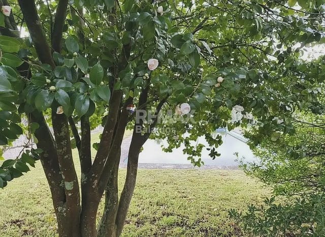 7 sovrum Finca/Hus på landet till salu i Tui med pool garage - 580 000 € (Ref: 9763268)