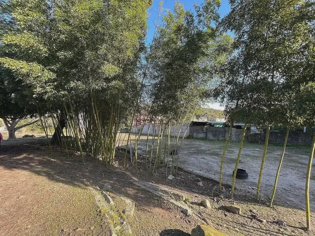 11 soverom Finca/Herregård til salgs i O Rosal med garasje - € 335 000 (Ref: 9763271)