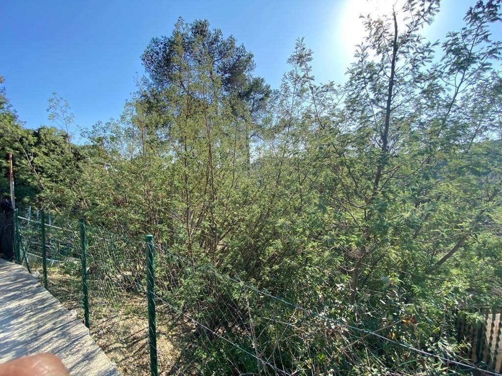 Działka budowlana na sprzedaż w La Floresta - 125 000 € (Ref: 9908402)