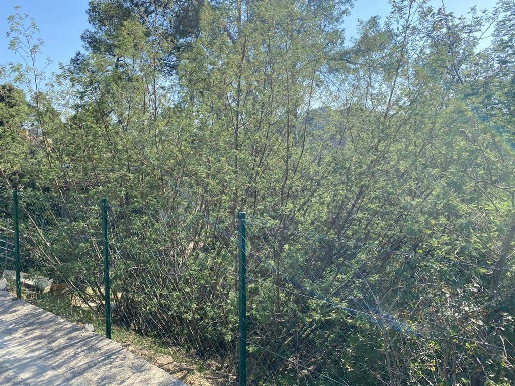 Działka budowlana na sprzedaż w La Floresta - 125 000 € (Ref: 9908402)