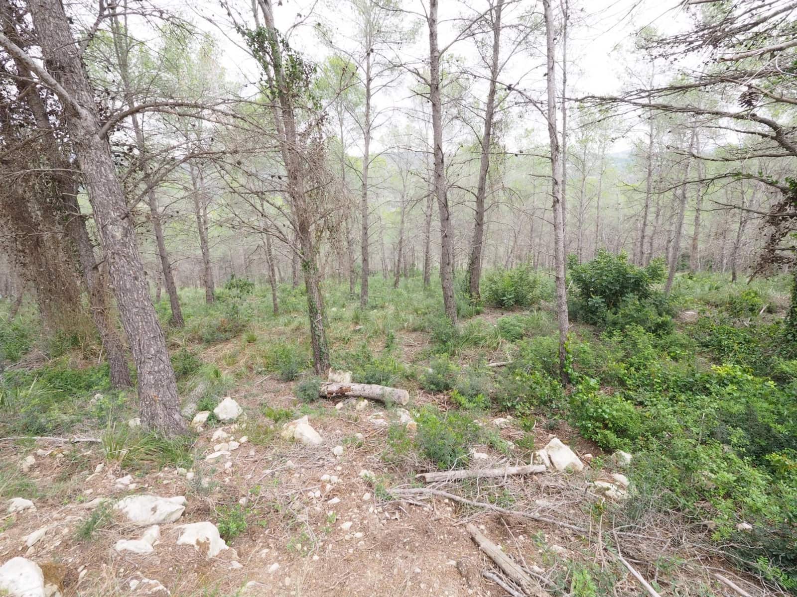Area Edificabile in vendita in Sant Pere de Ribes - 125.000 € (Rif: 9908511)