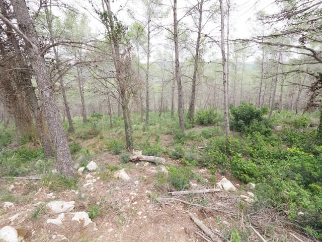 Area Edificabile in vendita in Sant Pere de Ribes - 125.000 € (Rif: 9908511)