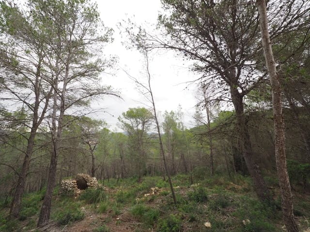 Area Edificabile in vendita in Sant Pere de Ribes - 125.000 € (Rif: 9908511)