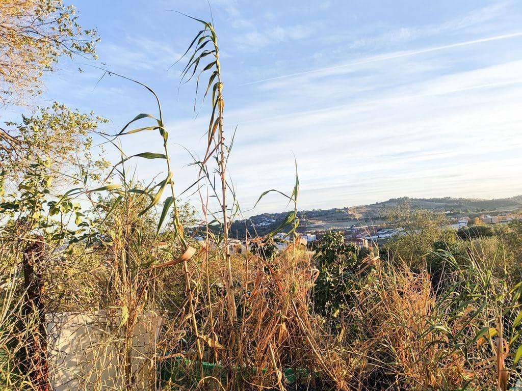 Byggegrund til salg i Terrassa - € 1.273.000 (Ref: 9908696)