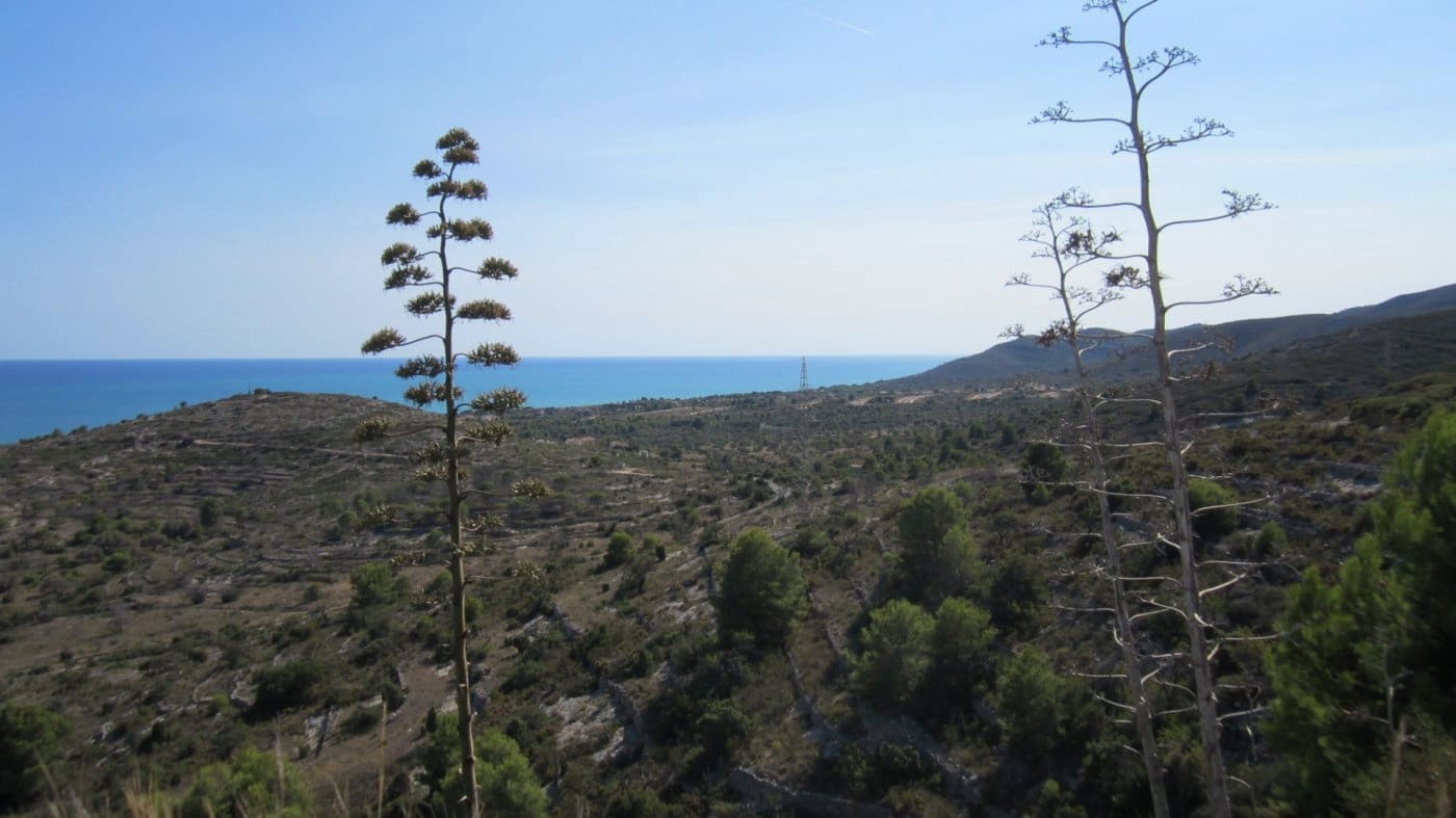 Terrain à Bâtir à vendre à Peniscola - 49 000 € (Ref: 10017527)