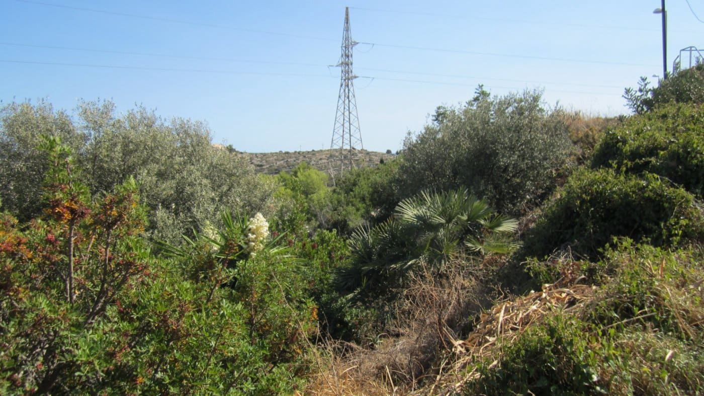 Terrain à Bâtir à vendre à Peniscola - 49 000 € (Ref: 10017527)
