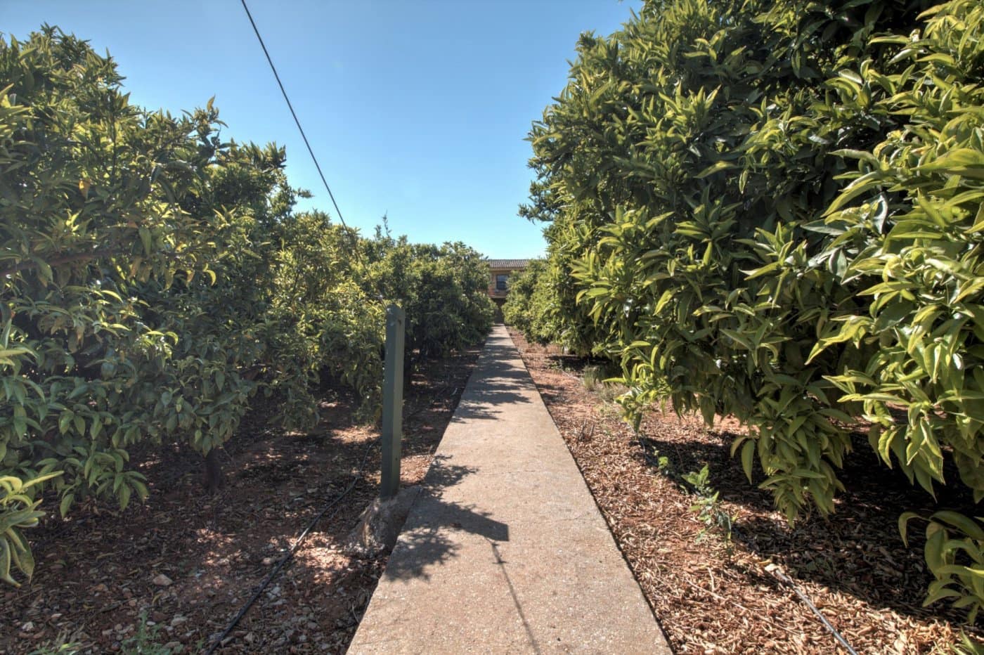 3 slaapkamer Finca/Landhuis te koop in Castello de la Plana - € 325.000 (Ref: 6227643)