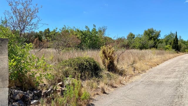 Bouwgrond te koop in Peñíscola - € 45.000 (Ref: 7040103)