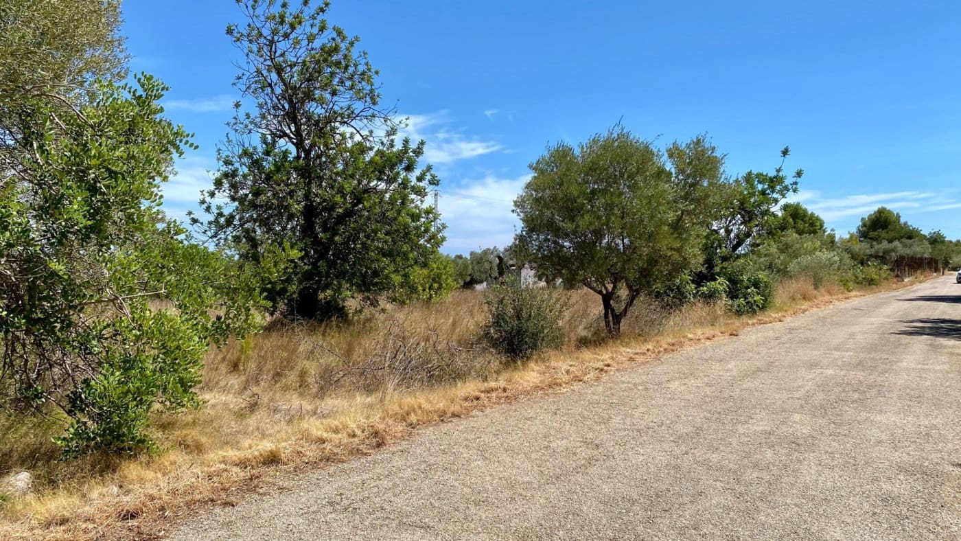 Area Edificabile in vendita in Peniscola - 45.000 € (Rif: 7040103)