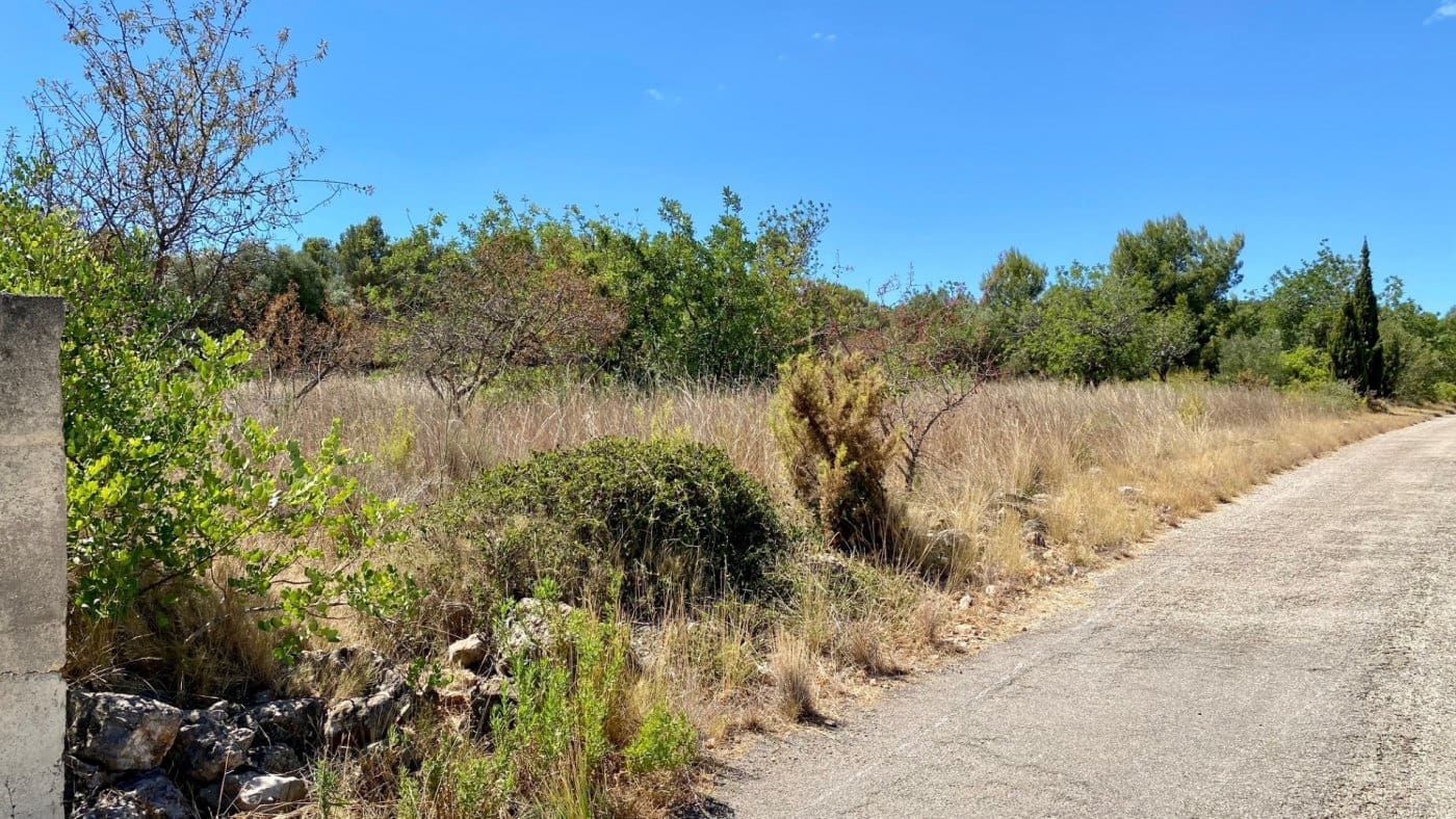 Area Edificabile in vendita in Peniscola - 45.000 € (Rif: 7040103)