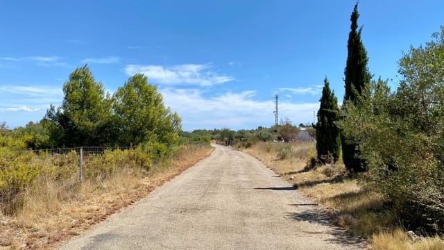 Building Plot for sale in Peñíscola - € 45,000 (Ref: 7040103)