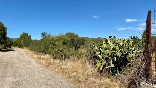 Building Plot for sale in Peñíscola - € 45,000 (Ref: 7040103)