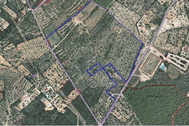 Mark till salu i Sant Jordi - 298 000 € (Ref: 7536490)