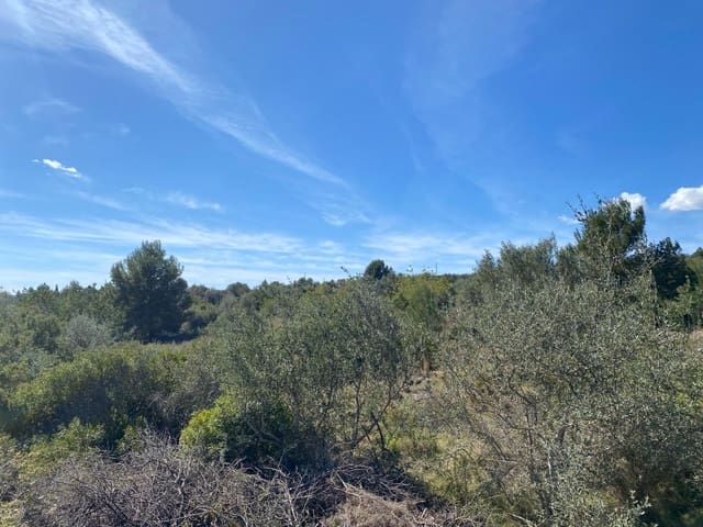 Mark till salu i Sant Jordi - 298 000 € (Ref: 7536490)