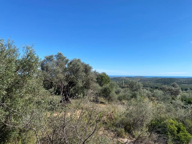 Mark till salu i Sant Jordi - 298 000 € (Ref: 7536490)