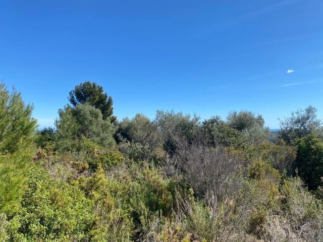 Mark till salu i Sant Jordi - 298 000 € (Ref: 7536490)