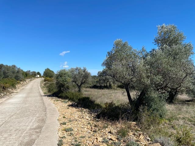 Mark till salu i Sant Jordi - 298 000 € (Ref: 7536490)