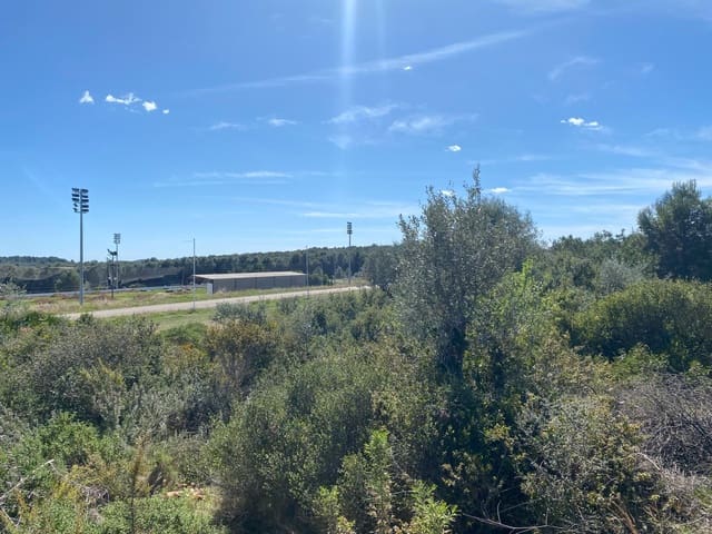 Mark till salu i Sant Jordi - 298 000 € (Ref: 7536490)