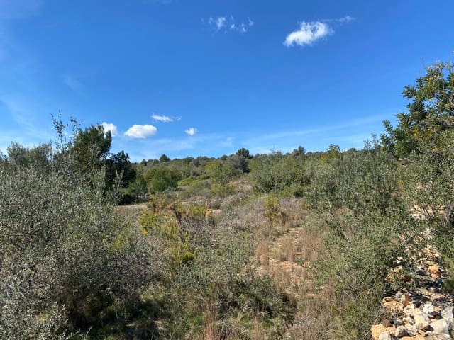 Mark till salu i Sant Jordi - 298 000 € (Ref: 7536490)