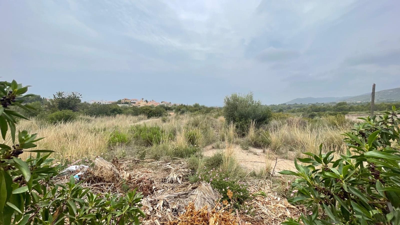 Terreno para Construção para venda em Peniscola - 283 000 € (Ref: 8015607)