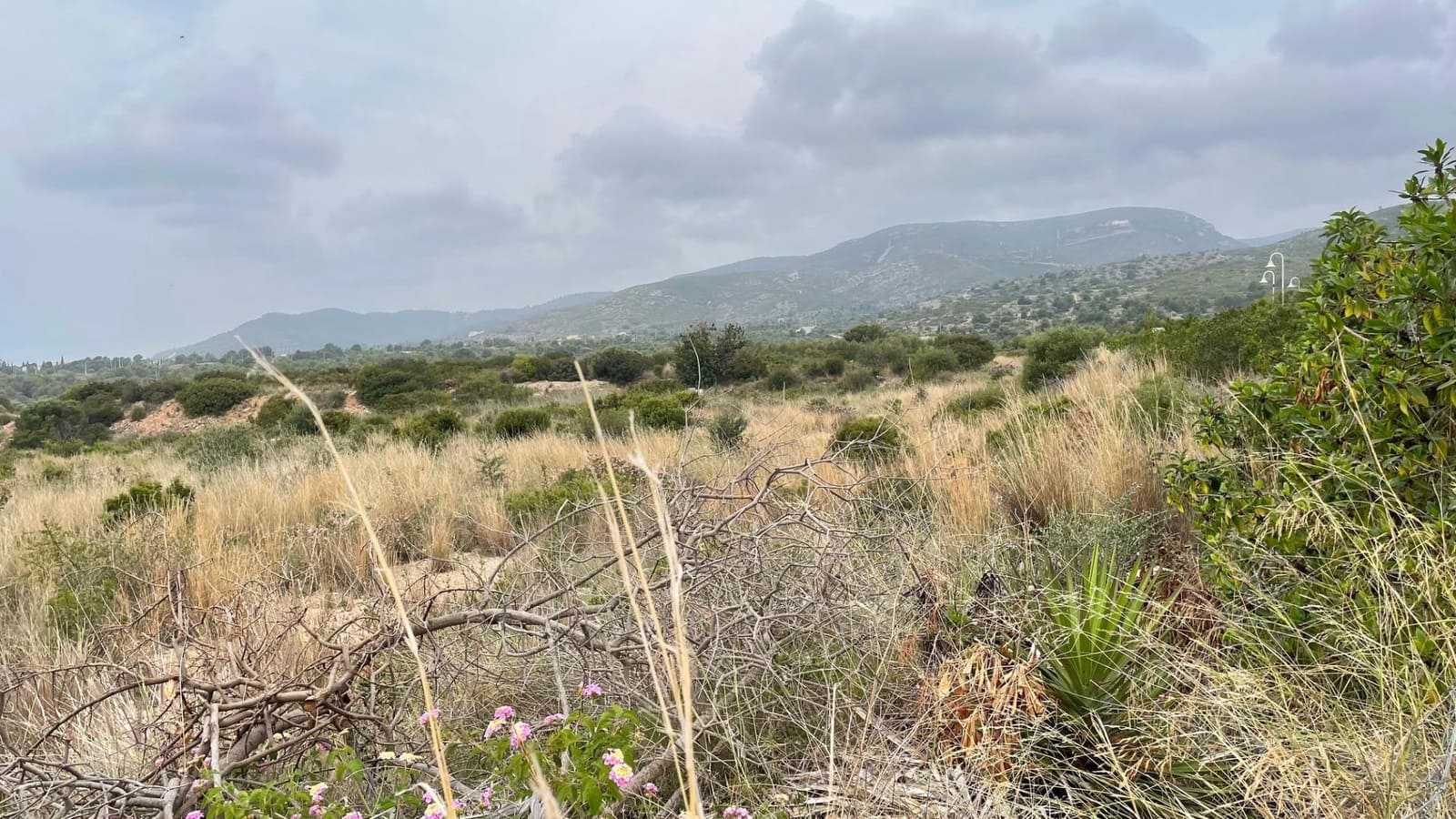 Byggegrund til salg i Peniscola - € 265.000 (Ref: 8015608)