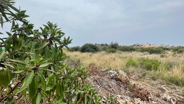 Byggegrund til salg i Peñíscola - € 265.000 (Ref: 8015608)