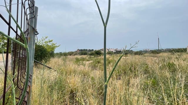 Bouwgrond te koop in Peñíscola - € 552.000 (Ref: 8015609)