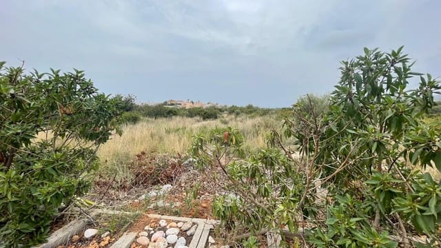Byggegrund til salg i Peñíscola - € 552.000 (Ref: 8015609)